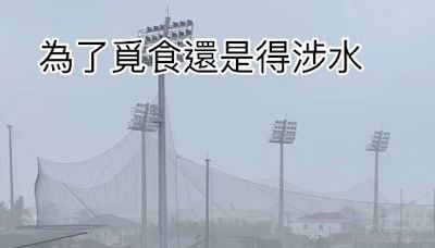 颱風來襲屏東中信園區積水 彭政閔發文提醒注意安全