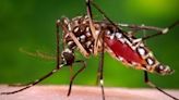 Volusia County Mosquito Control plans week of informational events