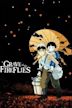 Grave of the Fireflies