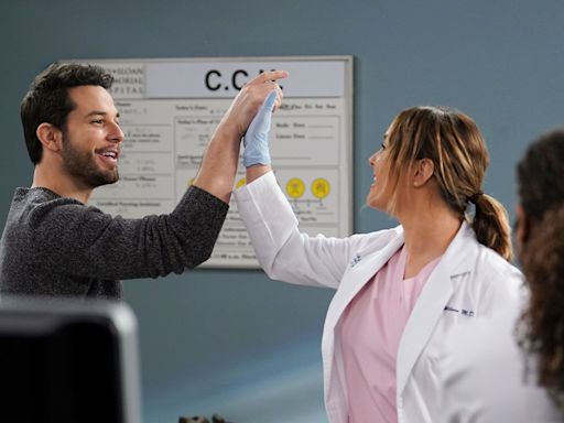 Skylar Astin praises 'Grey's Anatomy' writers for that 'sex bear' plotline