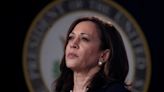 Las 6 alternativas para los demócratas, en caso de que no elijan a Kamala Harris como candidata presidencial