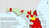 Bird flu in Florida: What is H5N1 and are schools closing?