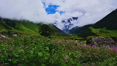 Uttarakhand: Valley of Flowers National Park – how to reach and best time to visit