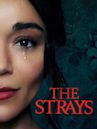 The Strays (film)