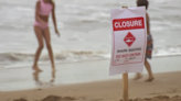 At least 2 shark sightings reported in San Clemente