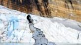 A chunk of partially melted ice in front of the Grinnell Glacier in Glacier National Park, Montana