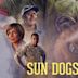 Sun Dogs (2017 film)