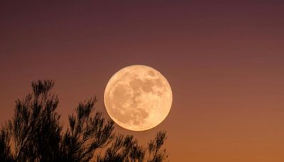 Luna Llena de las Flores iluminará el cielo nocturno de mayo