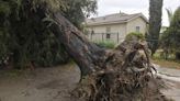 Severe storms to rumble and roar from Mississippi Valley to Atlantic coast