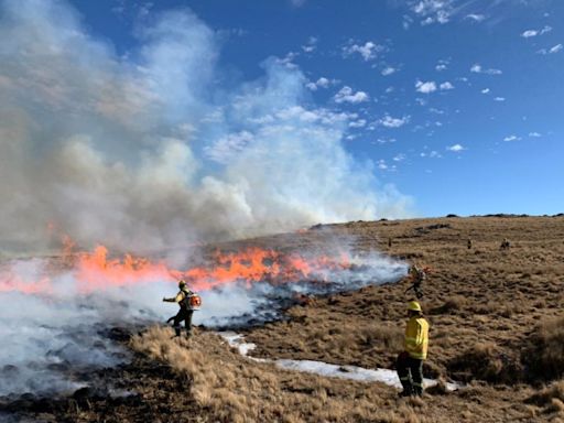 Incendios en Córdoba: casi 300 bomberos combaten el fuego que ya devoró más de 3.500 hectáreas