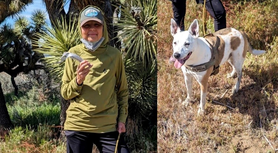 Hiker, dog found safe in East Bay wilderness after 3-day search