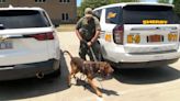 A boy was found wandering on a North Carolina road. A police dog helped reunite him with his family