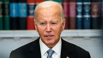 Biden Defends 'Put In the Bullseye' Remark on Trump