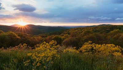 From summits to waterfalls, Shenandoah National Park is perfect for the entire family