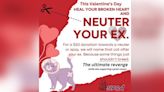 'It's the ultimate revenge': Sask. animal shelter launches 'Neuter Your Ex' fundraiser