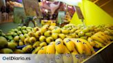 El plátano de Canarias se toma un respiro gracias a la coyuntura de buenos precios desde marzo