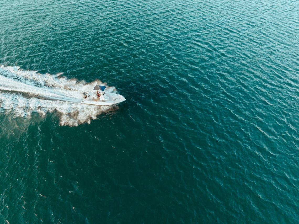 Sea creature that washed ashore in California likely killed by boat strike, experts say