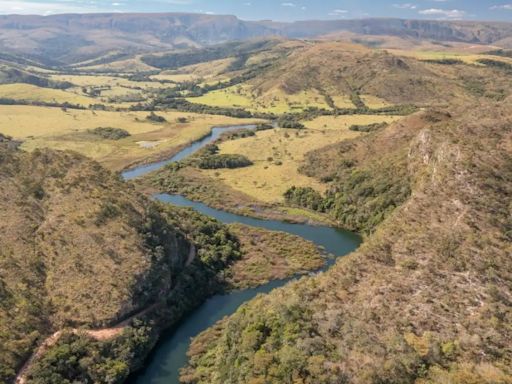 Cientista explica por que é preciso frear desmatamento no Cerrado para não faltar água no Brasil