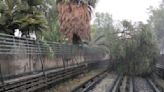 Cae árbol a vías del Metro y afecta Línea 5; servicio solo de Pantitlán a La Raza