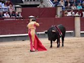 Bullfighting