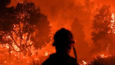 The Southern California Wildfire Paradox