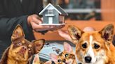 Alerta a inquilinos: máximo de mascota que se puede tener en una vivienda
