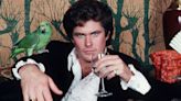 David Hasselhoff Movies and TV Shows: How 'The Hoff' Became a Cultural Icon