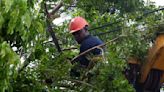 Small protests appear in Havana over islandwide blackout