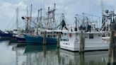 Seafood industry groups unite to oppose bill that would limit bottom trawls