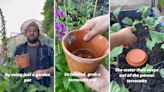 Pro gardener shares ‘amazing’ watering hack that saves time when taking care of your plants: ‘I can’t believe it works’