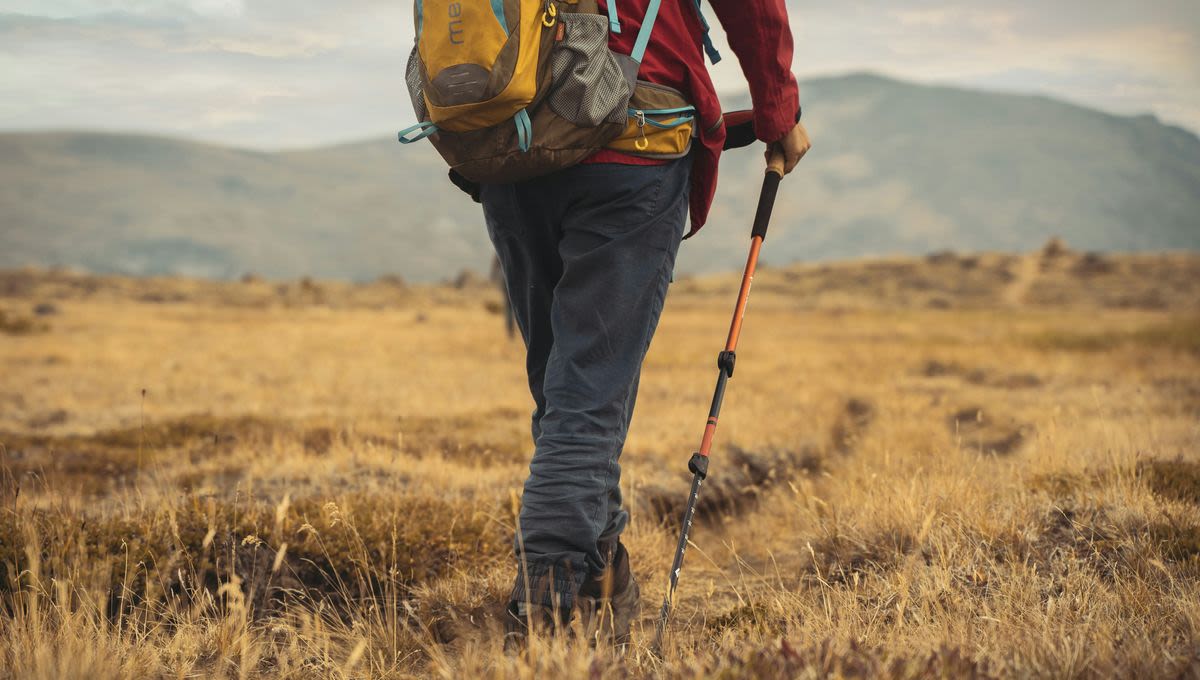 What’s The Longest Walkable Route On Earth?