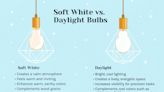 Soft White vs. Daylight Bulbs: When to Use Each Type
