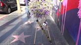 Wreath laid in honour of Donald Sutherland on Hollywood Walk of Fame after actor’s death