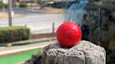 New mini golf trail highlights more than 30 courses along the Grand Strand