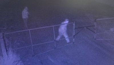 Northern Ont. police seek public assistance in break and enter investigation