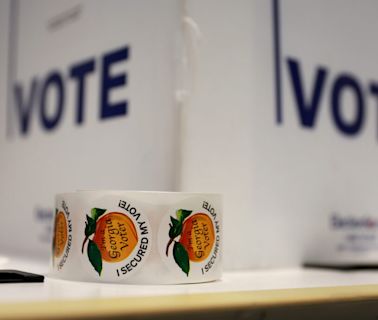 Georgia polls open Tuesday with key state, local and federal races on the ballot