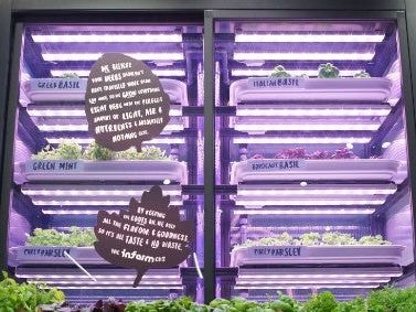 Can vertical farming ever become mainstream?