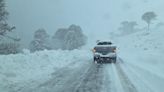 Video: Así fue la épica caravana para sacar a los turistas varados en una ruta de la Patagonia tapada por la nieve