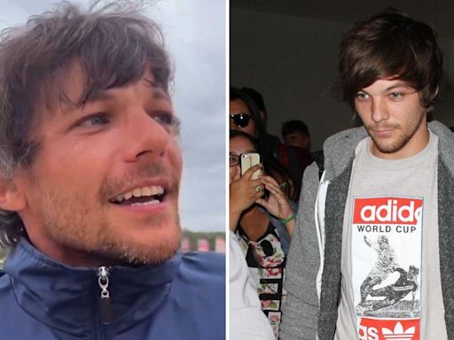 Louis Tomlinson Fans Call the Singer, 32, a 'Silver Fox' After He Debuts Gray Hair: Photos