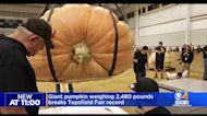 Record-breaking pumpkin on view at Topsfield Fair