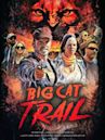 Big Cat Trail