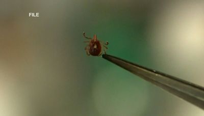 Wisconsin ranked among most vulnerable states for tick-borne illnesses