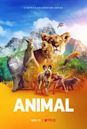 Animal (TV series)