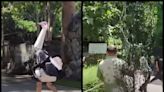 Watch this hilarious animal rescue video as man dressed as ostrich ‘escapes’ Thai zoo