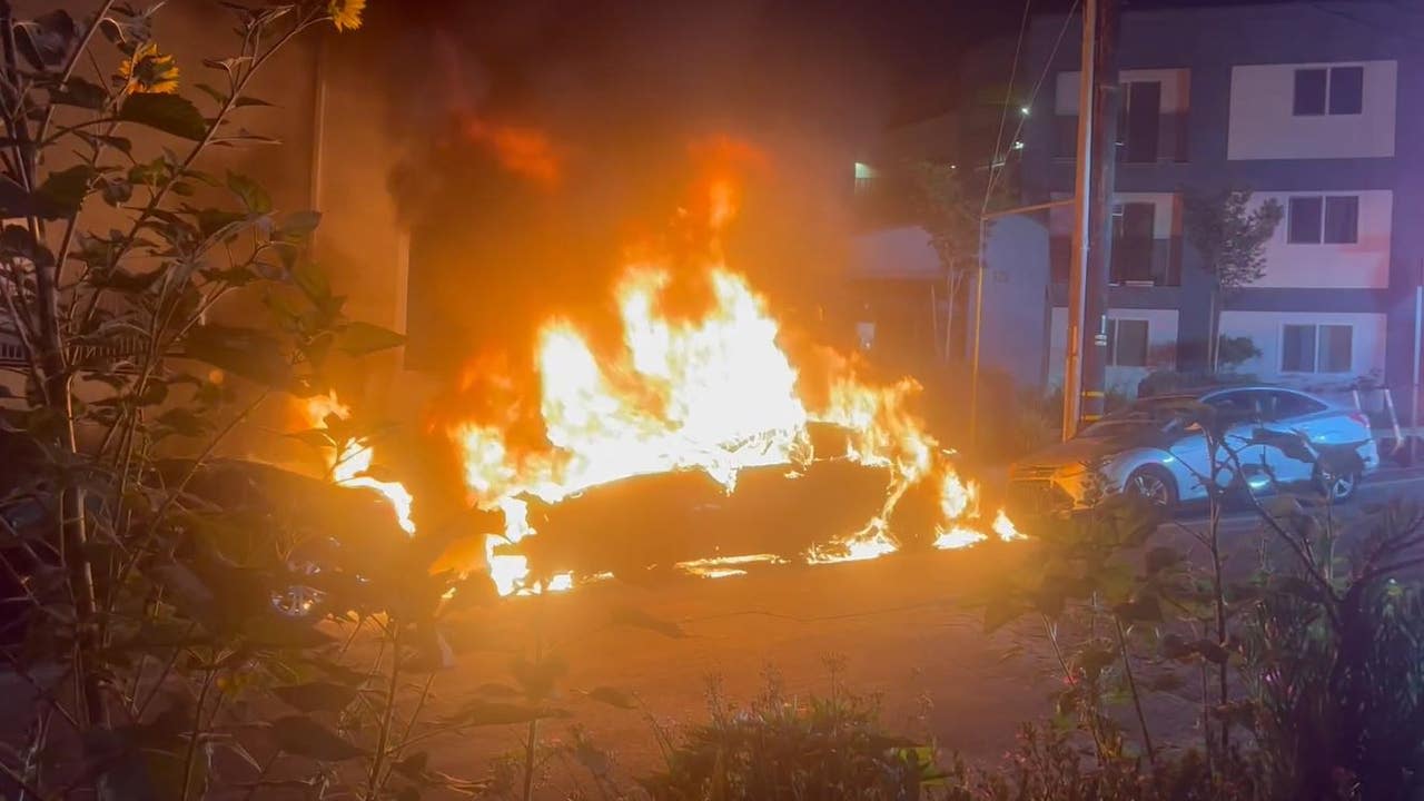Multiple vehicles torched in LA neighborhood