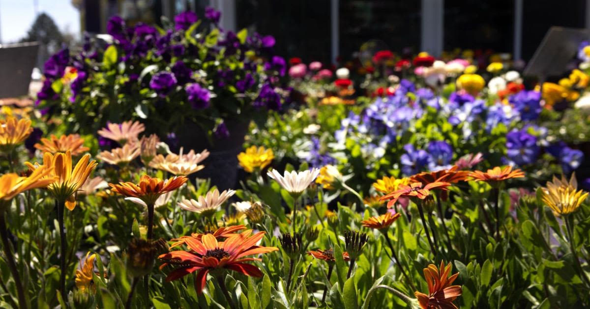 Enjoy the sunshine, Omaha! Rain likely returns Thursday through the weekend