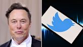 Elon Musk Announces Twitter Logo Change, Plans To 'Bid Adieu' To 'All The Birds'