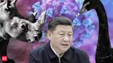 Why did Chinese President Xi Jinping ask to be ready for “black swan” and “gray rhino”? Is Beijing heading toward crisis?
