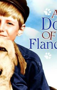 A Dog of Flanders (1959 film)