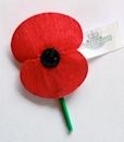 Remembrance poppy